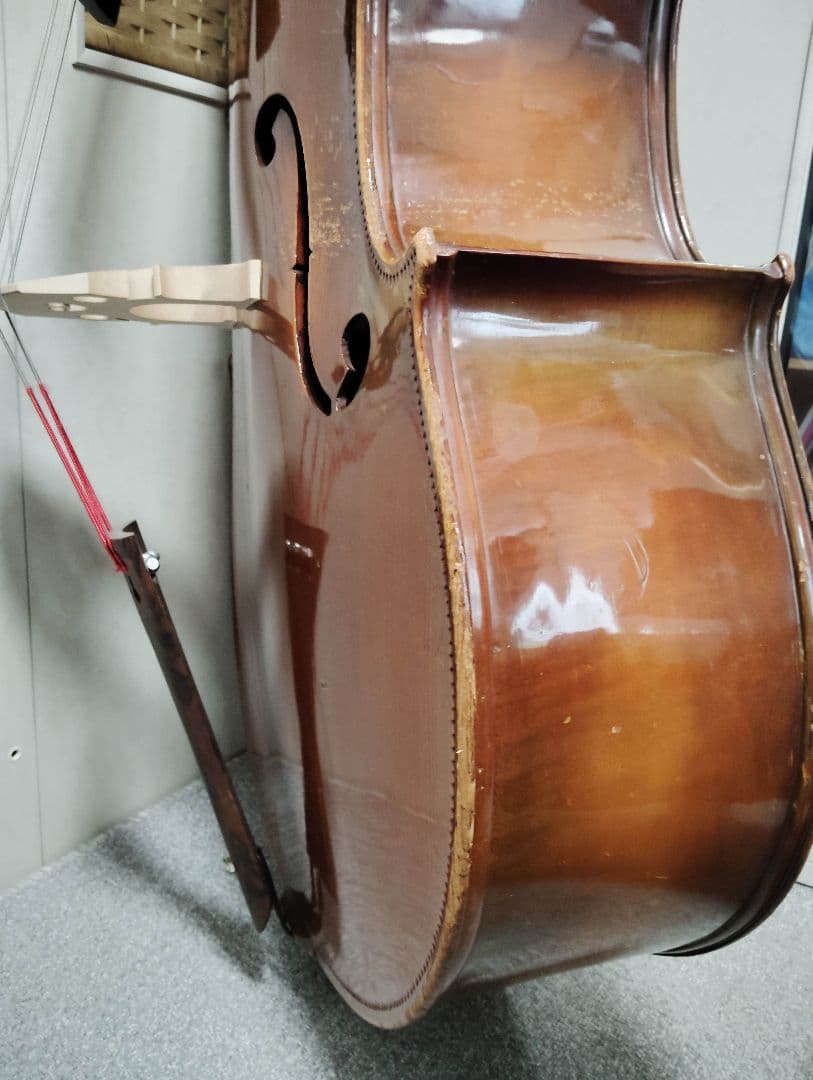 コントラバス ウッドベース チャキ F-20 表単板 ケース付 スピロコア弦