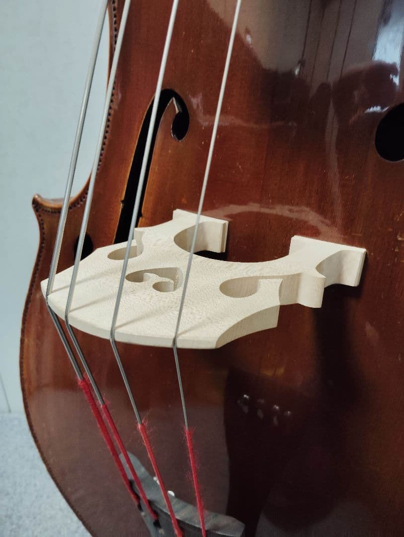 コントラバス ウッドベース チャキ F-20 表単板 ケース付 スピロコア弦