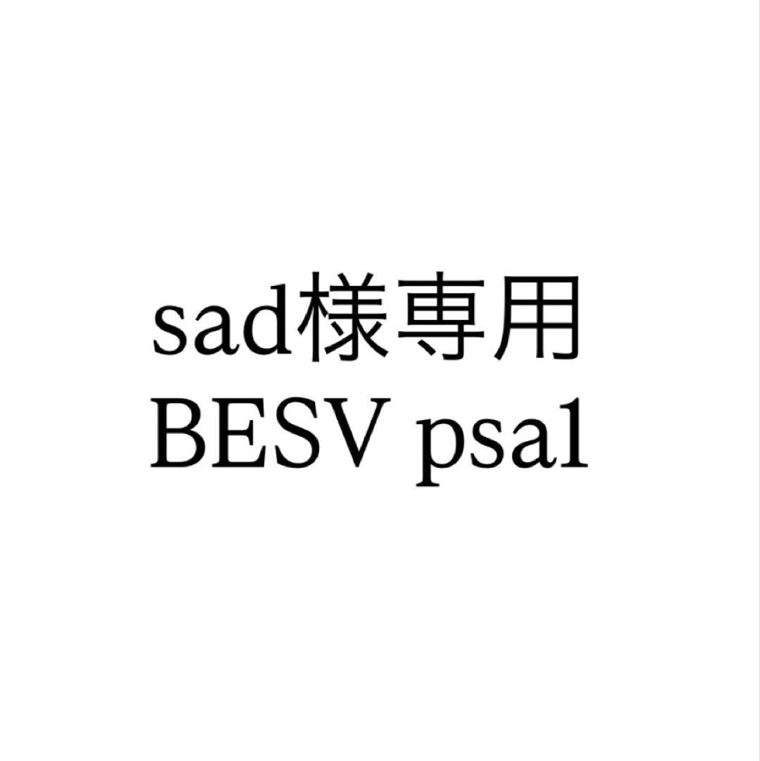 【値下げ】BESV ベスビー PSA1 電動アシスト自転車 黒 ブラック