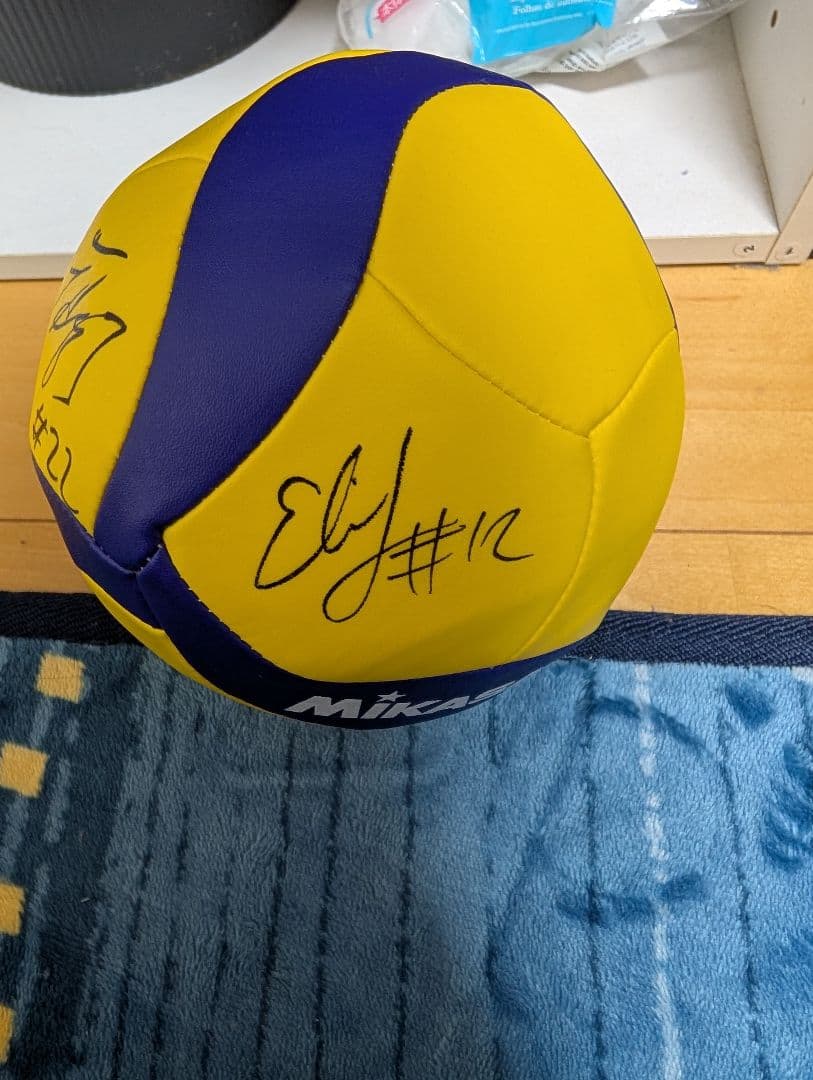 女子バレー 直筆サインボール トルコ代表バルガス選手他