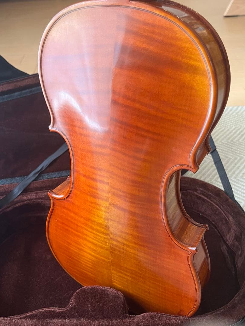 カルロジョルダーノ VS2 4/4バイオリン　ケース　肩当て　ミュート付き