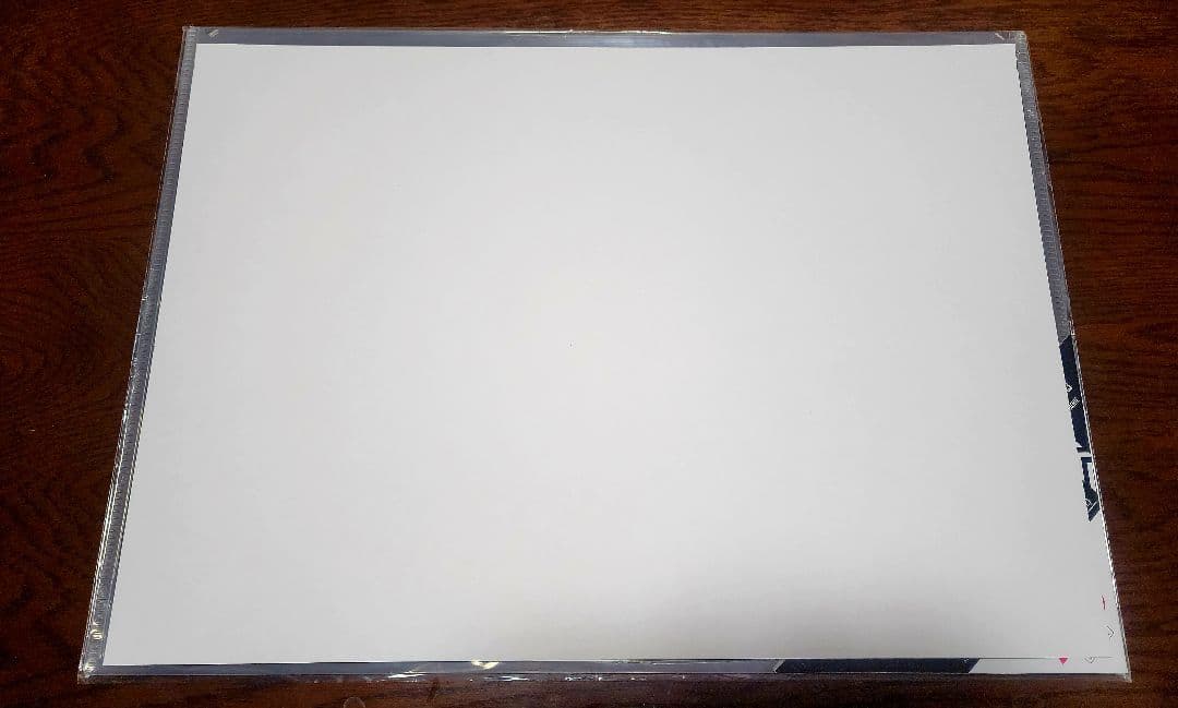 鬼滅の刃 冨岡義勇　ランチョンマット