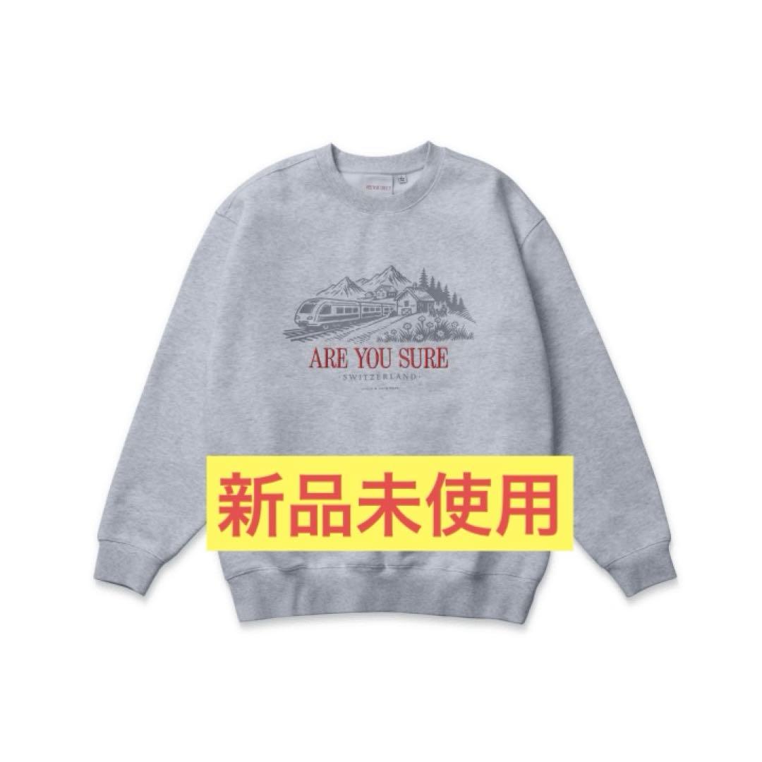 【土日限定価格】Are You Sure ?! 2 Sweat Shirt M