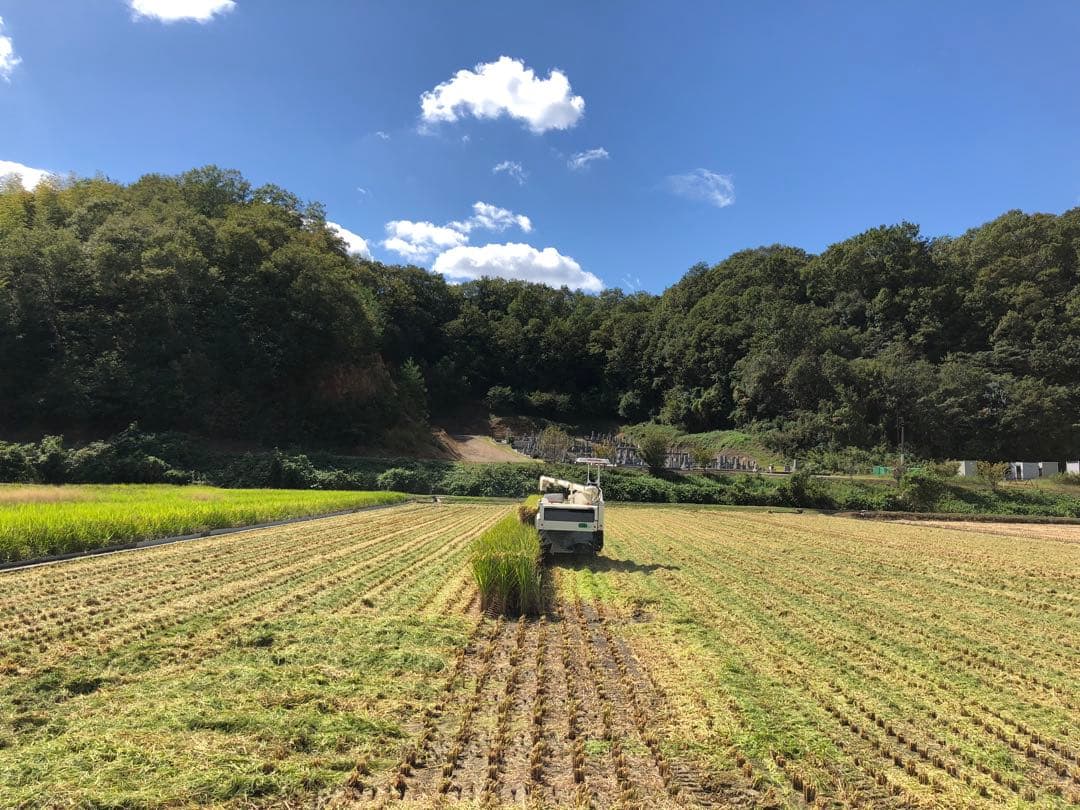 農家直送の美味しいお米 令和7年度産ヒノヒカリ 30キロ