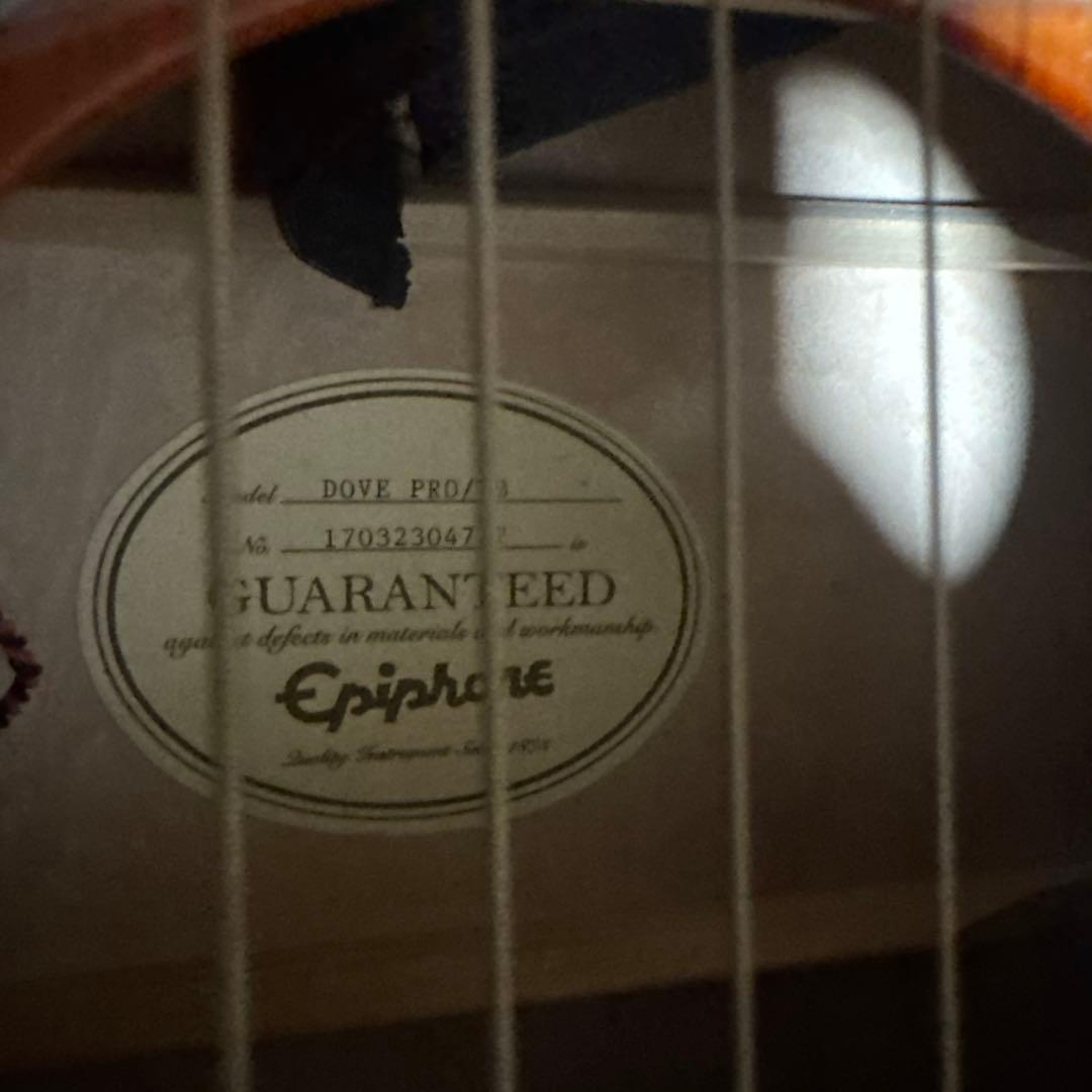 Epiphone / エピフォン Dove PRO/VB　エレアコ