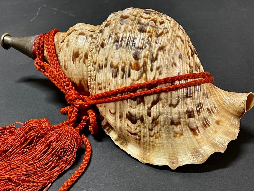 割引❣️【美品】「母」 法螺貝 ほら貝 口金 38cm 山伏 修験道 (218A)