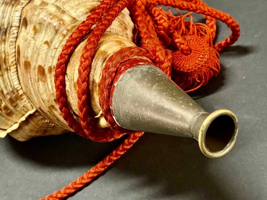 割引❣️【美品】「母」 法螺貝 ほら貝 口金 38cm 山伏 修験道 (218A)