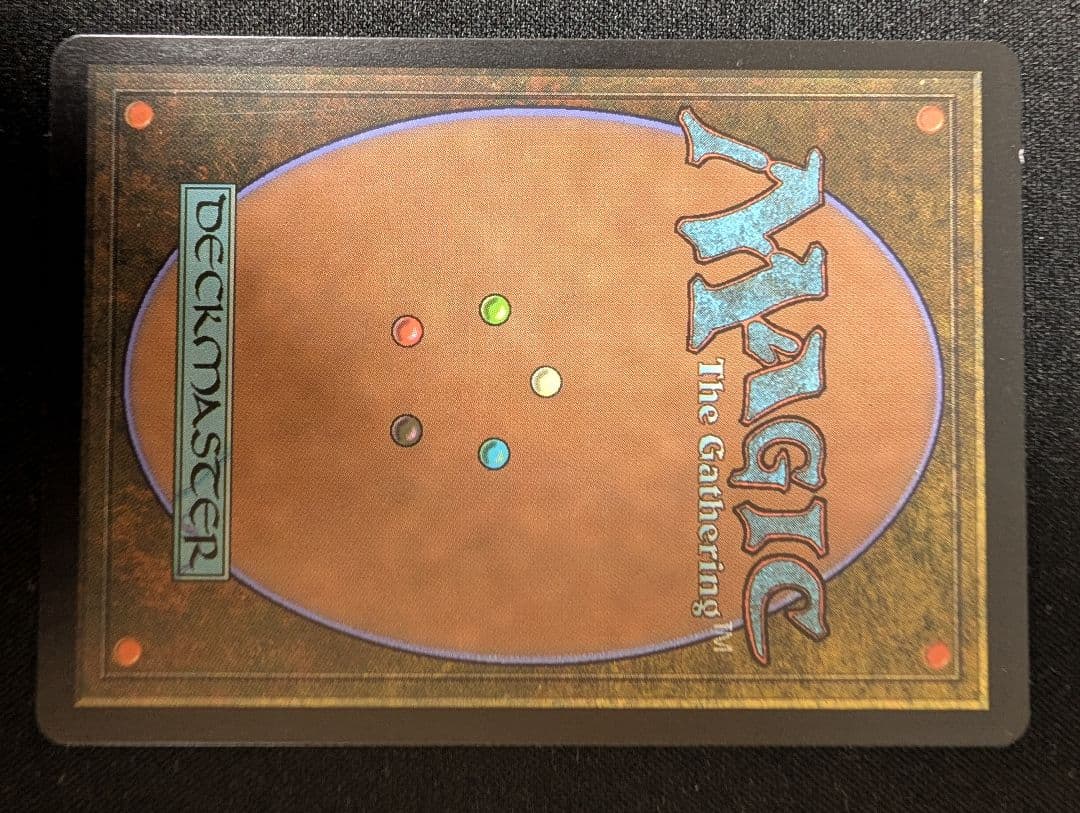 Guruランド グルランド 森