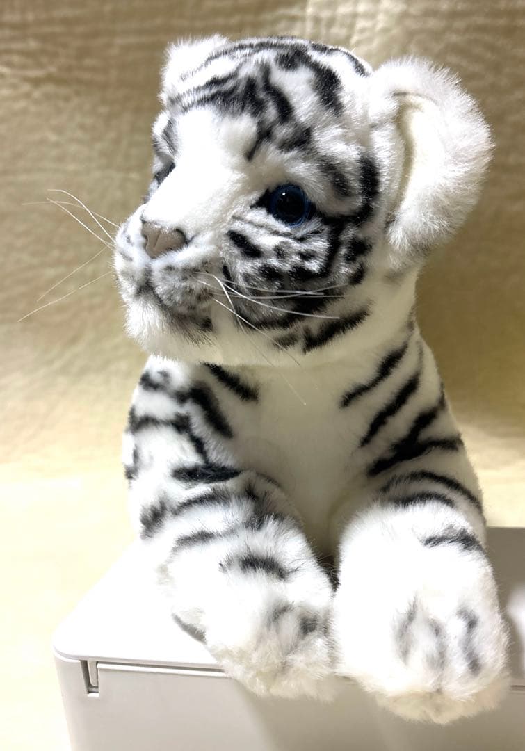 HANSA ハンサ BH4754 ホワイトタイガー 仔 WHITE TIGER