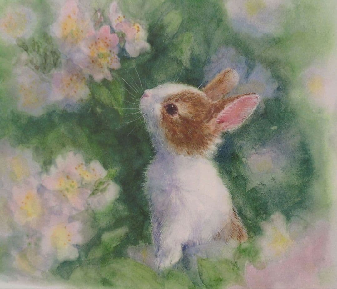 土田穣 絵画・アート(版画額装品)/ピンクの花/ウサギ・うさぎ