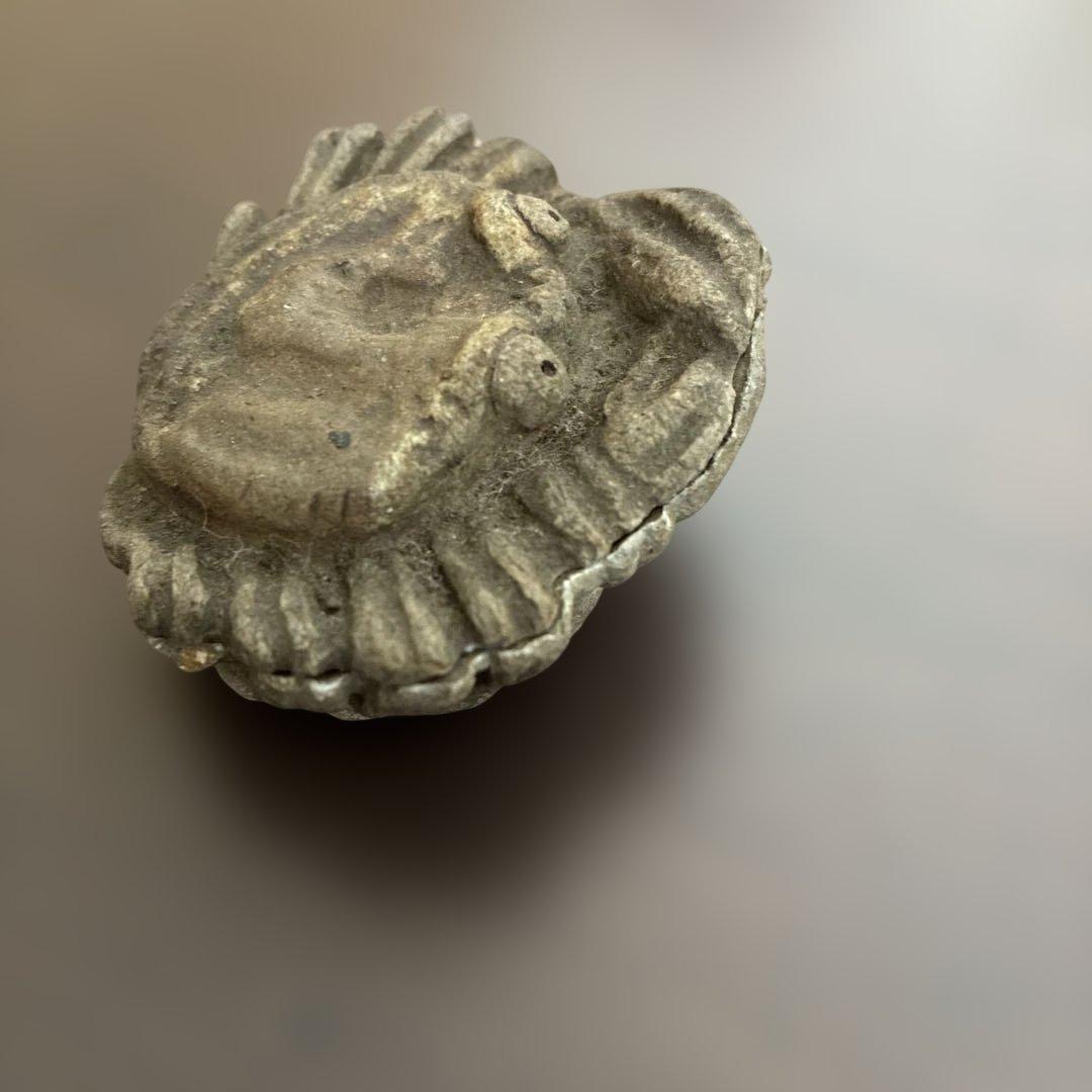 茶道具　香合　蟹　庄米