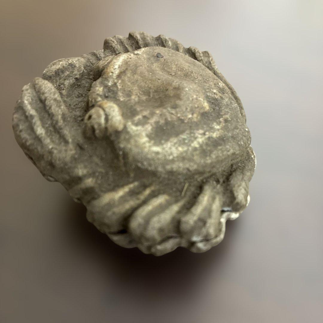 茶道具　香合　蟹　庄米