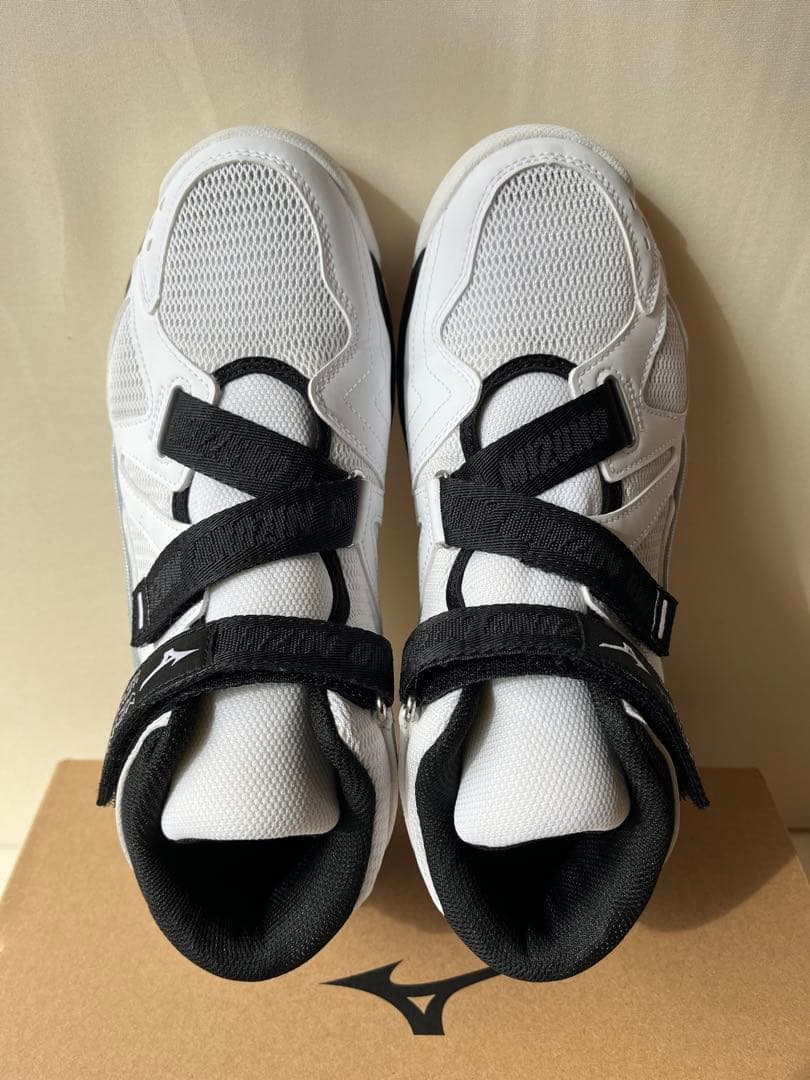 ほぼ新品 バレーボールシューズ25.0 Wave Lightning Z3