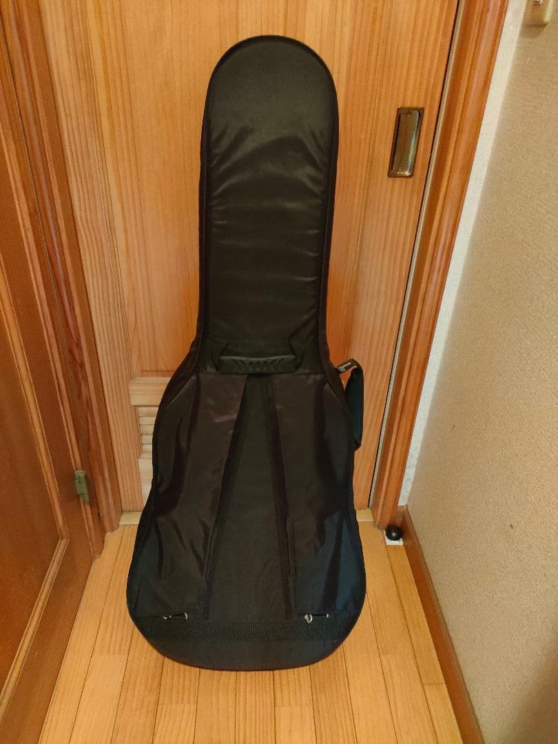 ギターセミハードケース