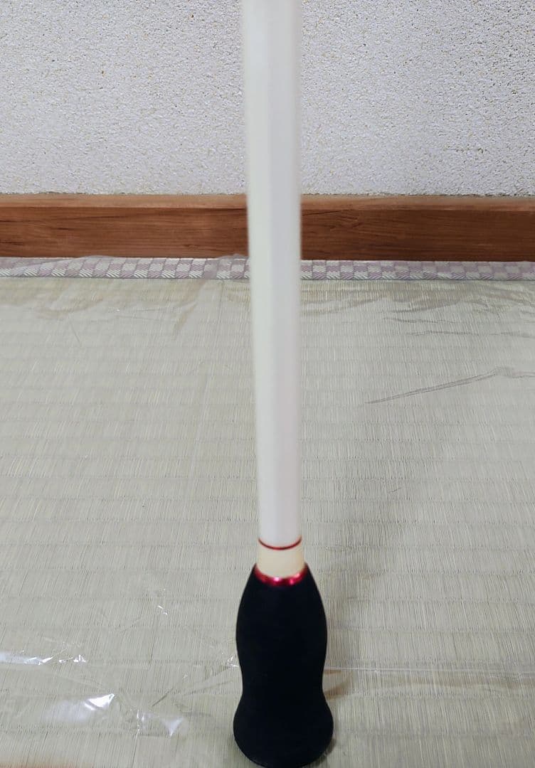 Deep Amity 195M (釣り竿・ロッド)