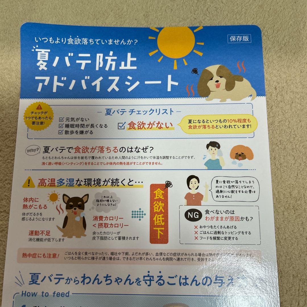 【新品・未開封品】このこのごはん 1kgｘ7袋