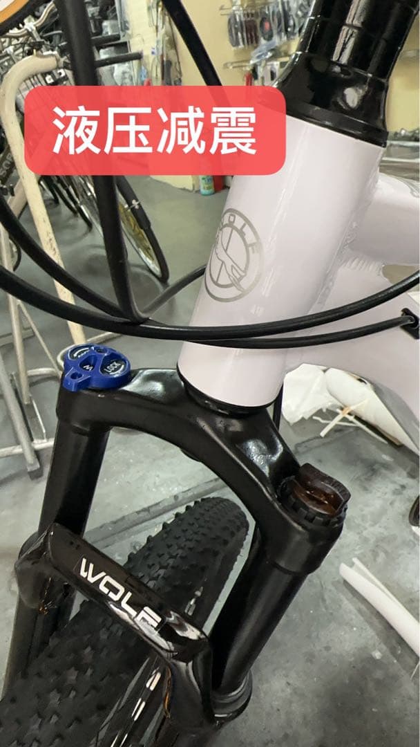 WOLF 公路车星驰Lite 14速