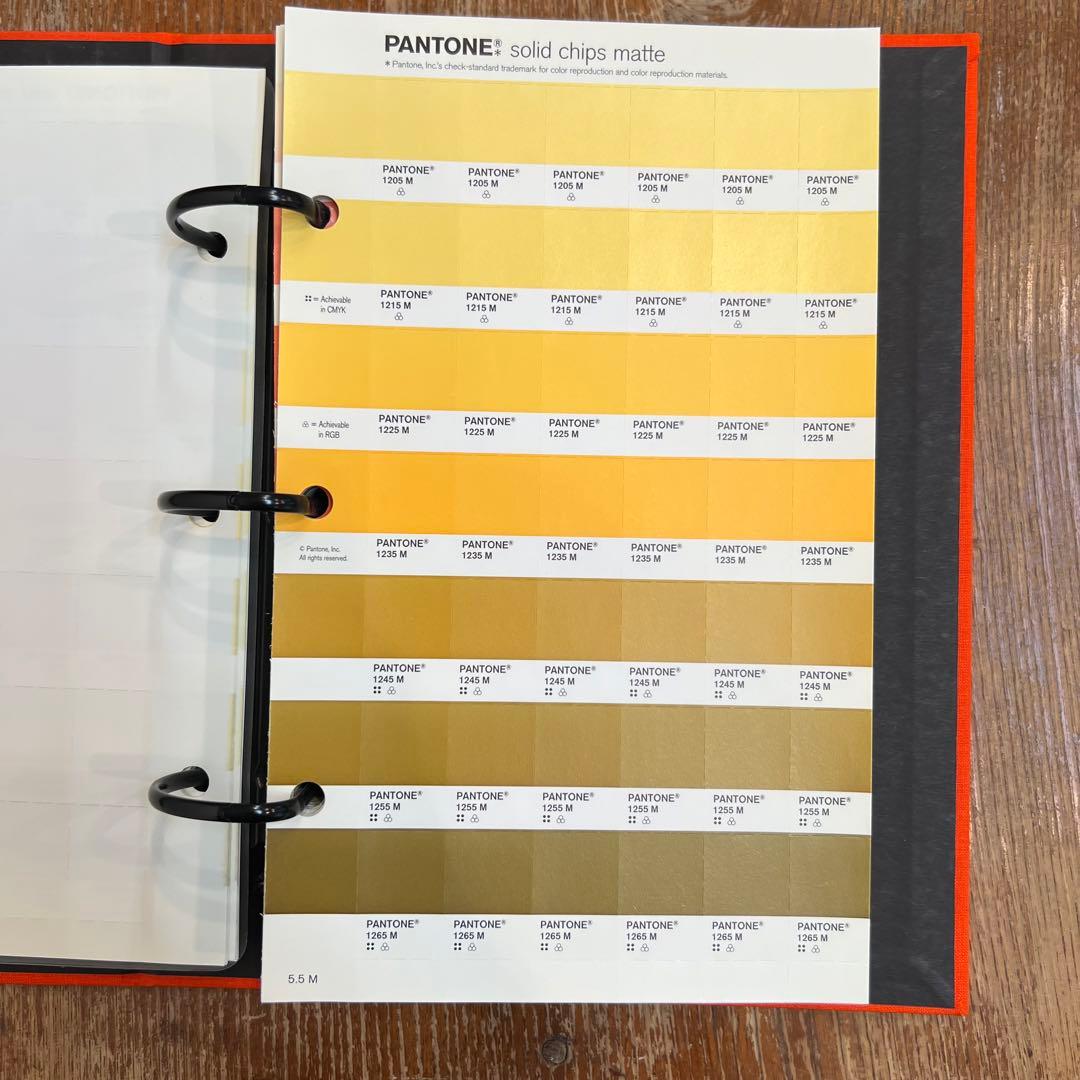 Pantone solid chips パントーン　色見本