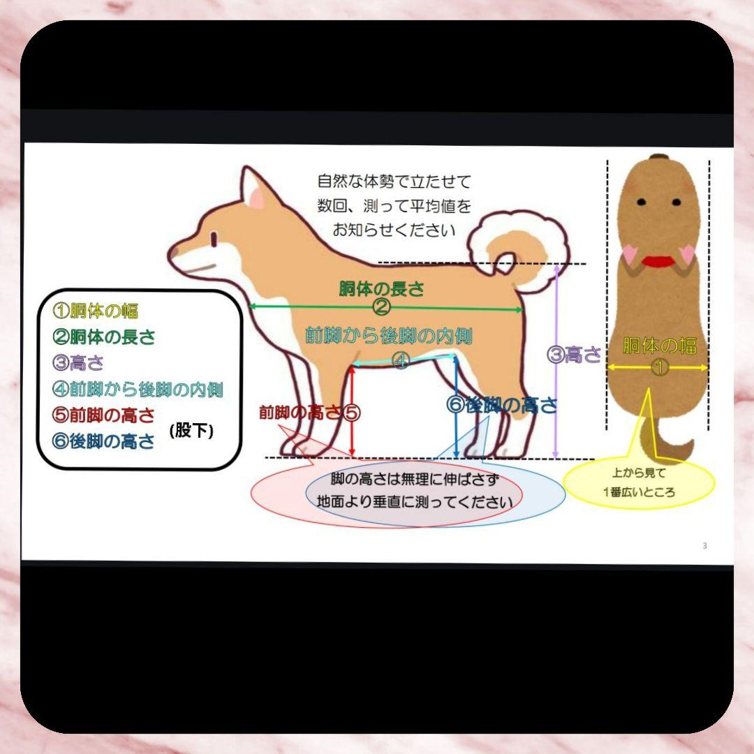 ヨーキー4輪　リハビリ　食事補助　犬用車椅子　介護用品　犬の歩行器