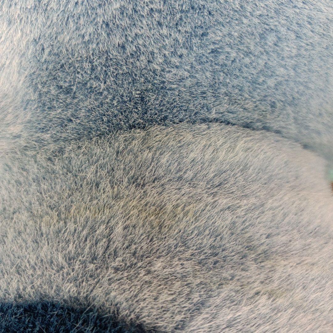 ディズニーワールド スティッチ ぬいぐるみ 特大