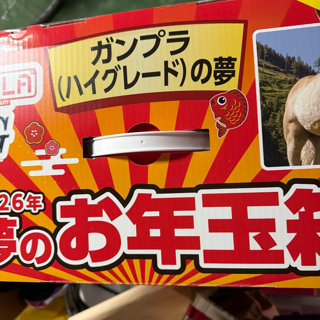 夢のお年玉箱　ガンプラHGの夢　ヨドバシ