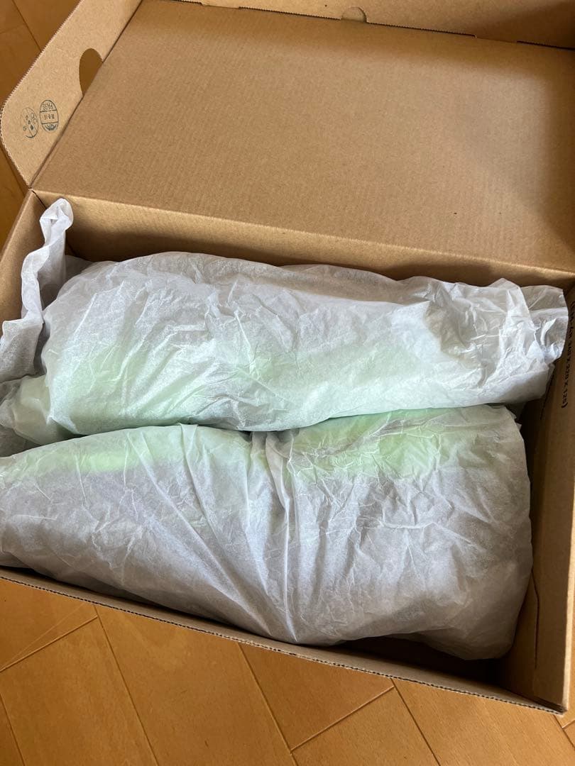 Mizuno Wave Lightningエリートバレーボールシューズ29cm