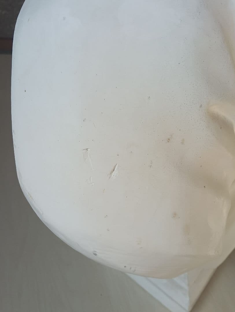 石膏像 モリエール（デッサン用）受験・練習用／発送対応