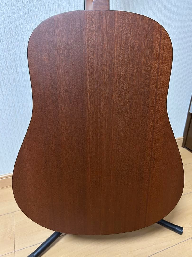 シーガル M6 スプルース　アコースティックギター