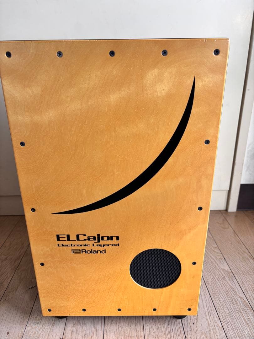 Roland EC-10 電子 カホン