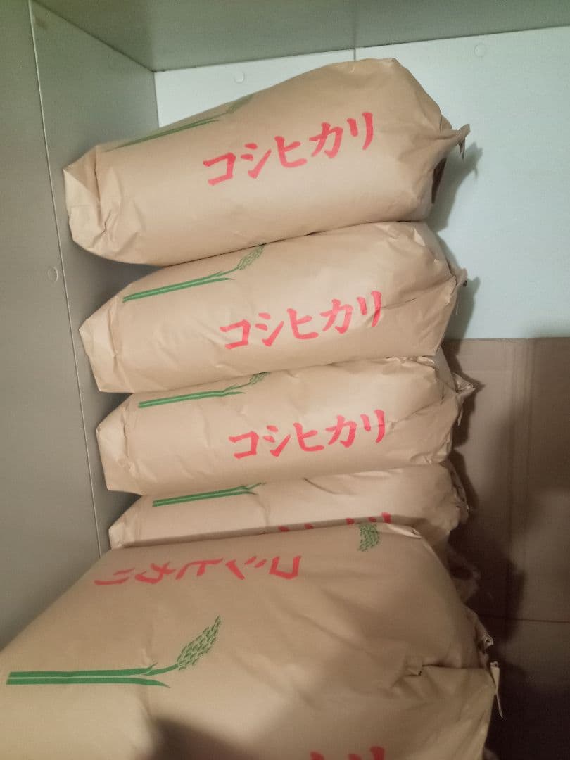 R7年産 新米 群馬県産 コシヒカリ 15キロ 玄米 送料込 ①