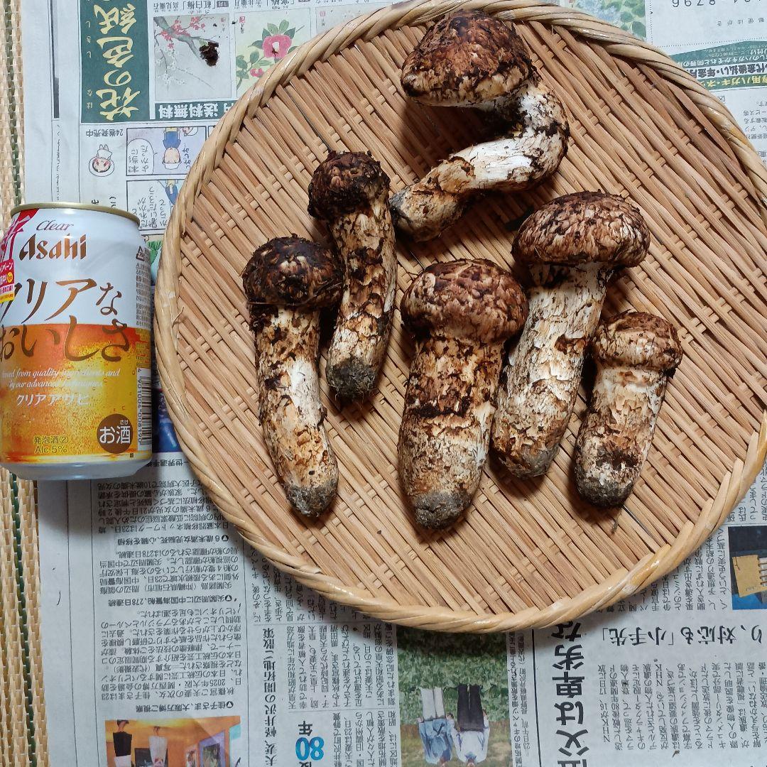 専用松茸450グラム岩手岩泉産10月12日午前取り専用