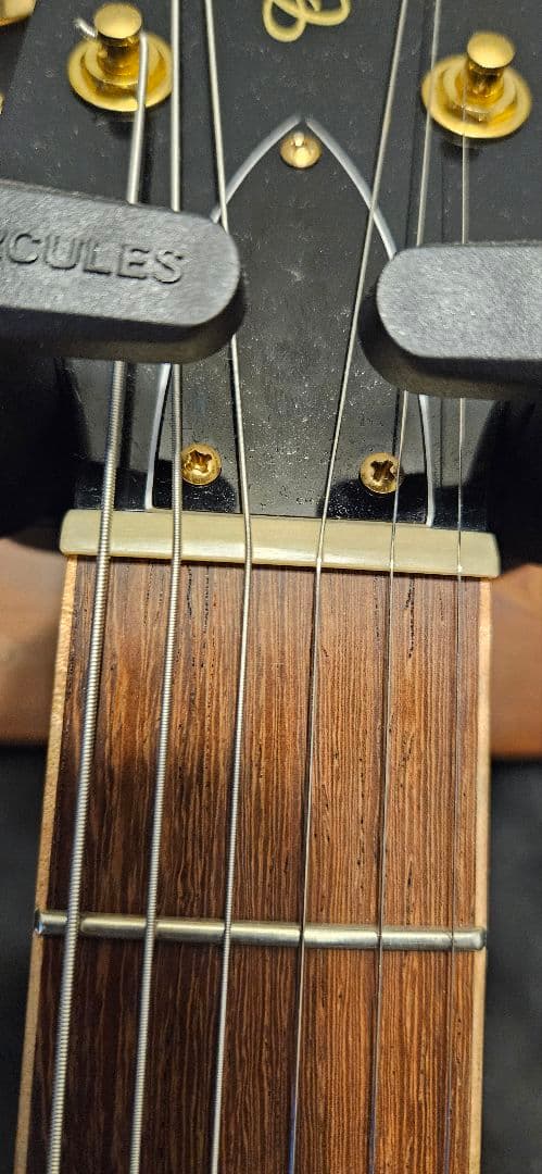 ギター momose ML-Premium/FM#20577