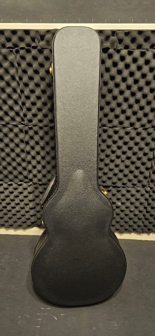 ギター momose ML-Premium/FM#20577