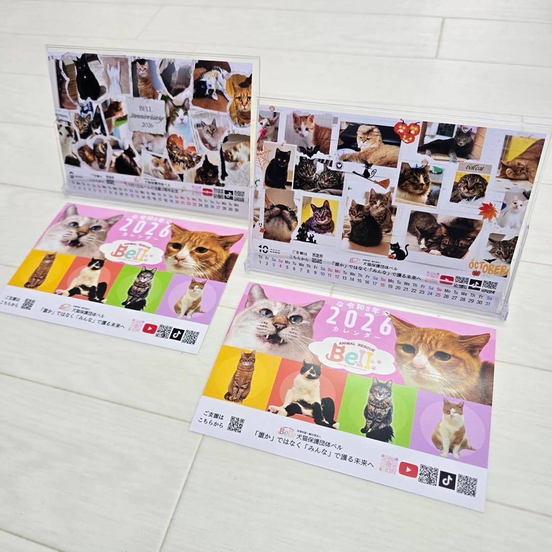 ③《猫》 卓上チャリティーカレンダー10枚セット