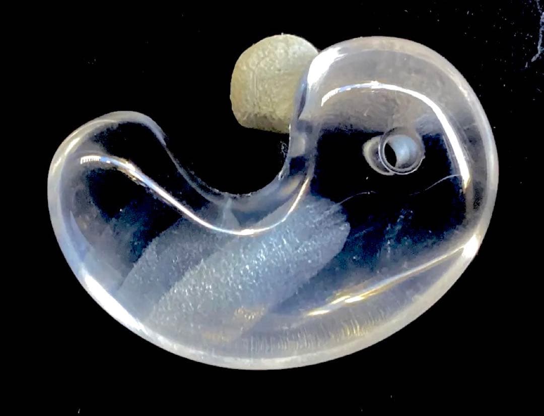 ✳ガネッシュヒマール水晶*勾玉の超最高峰　◆2度と入手は無理でしょう　鑑別書付‼️