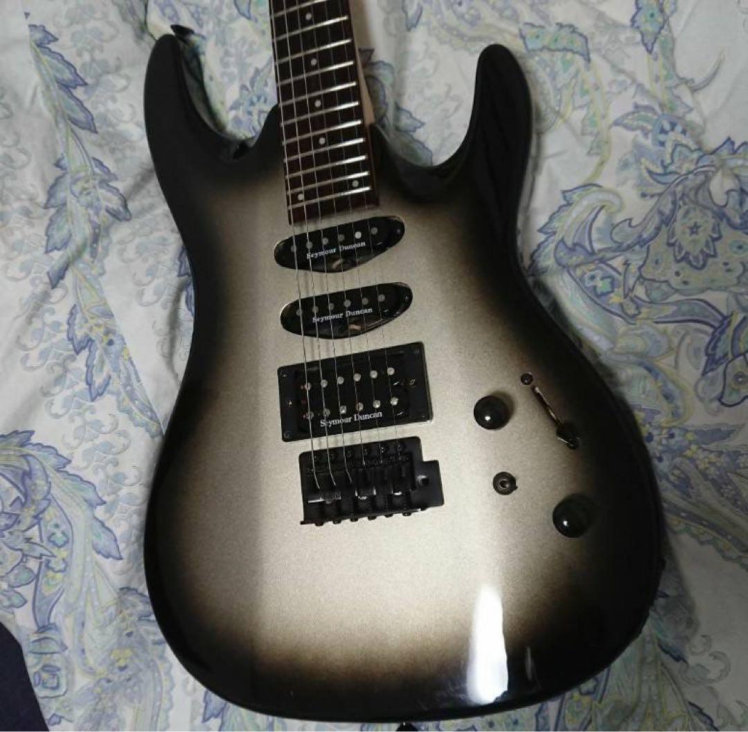 エレキギター【AriProⅡ MAGNA series】