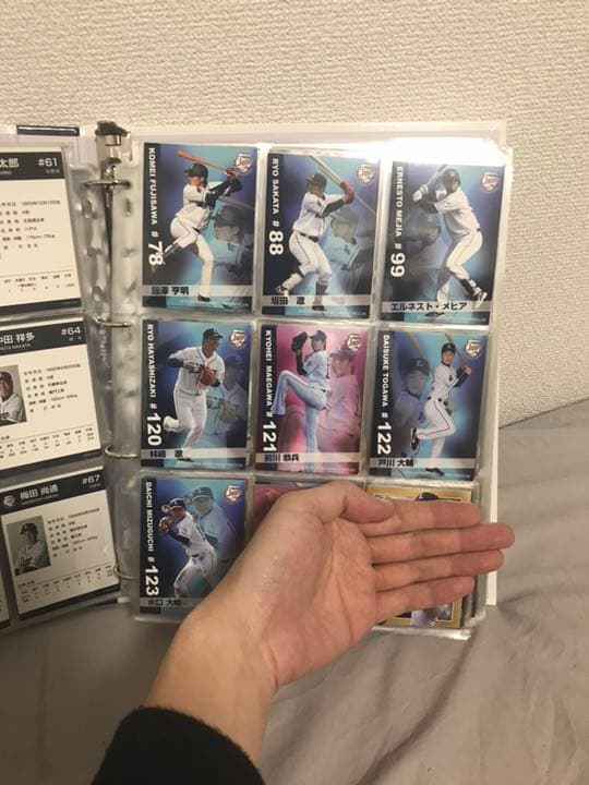 【交渉OK】埼玉西武ライオンズファンクラブカード 2015年 コンプリート