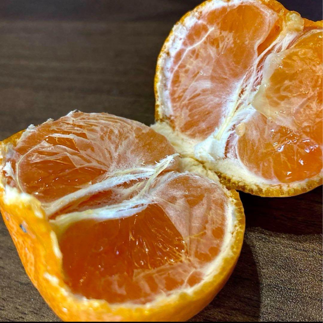 ⑤温州みかん 樹熟大坊みかん 優品(家庭用傷あり)2Sサイズ10kg