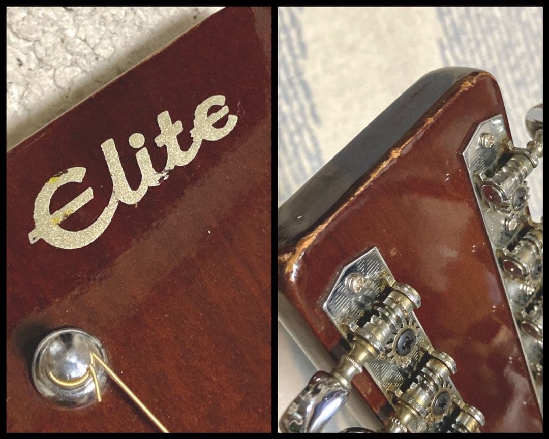 【希少！】Elite 12弦ギター WG25 ジャパンヴィンテージ アコギ