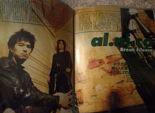 al.ni.co(WANDS)＋α