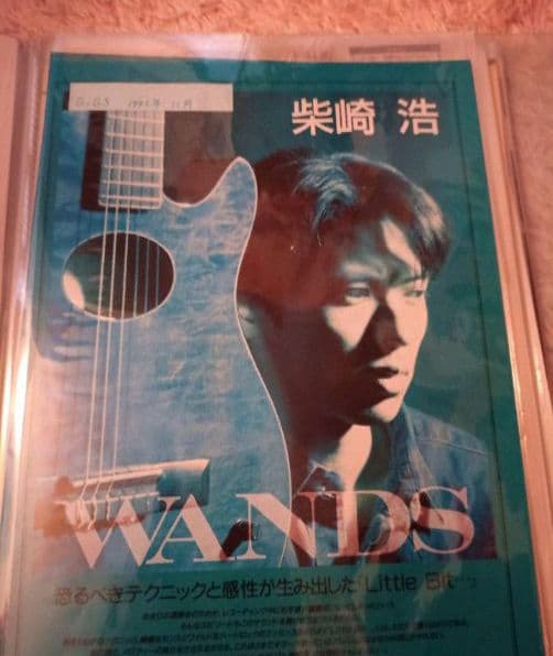 al.ni.co(WANDS)＋α