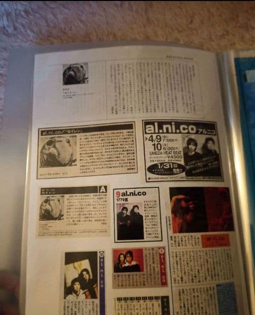 al.ni.co(WANDS)＋α