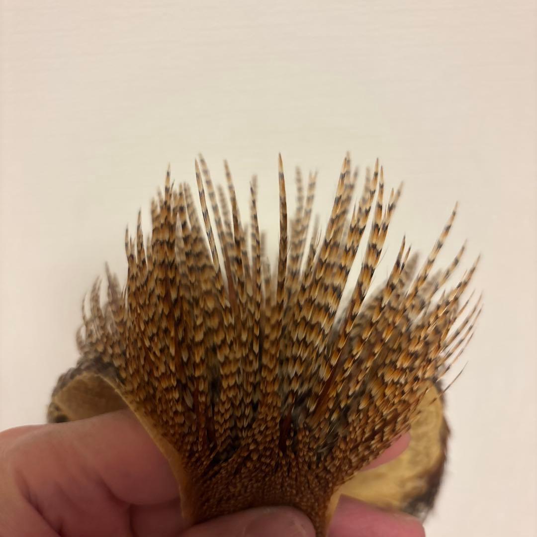 ルアー・フライ METZ Premium Neck Hackle #3 Neck Cree