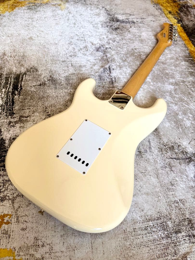 【エレキギター】FUJIGEN BSCT10RBD