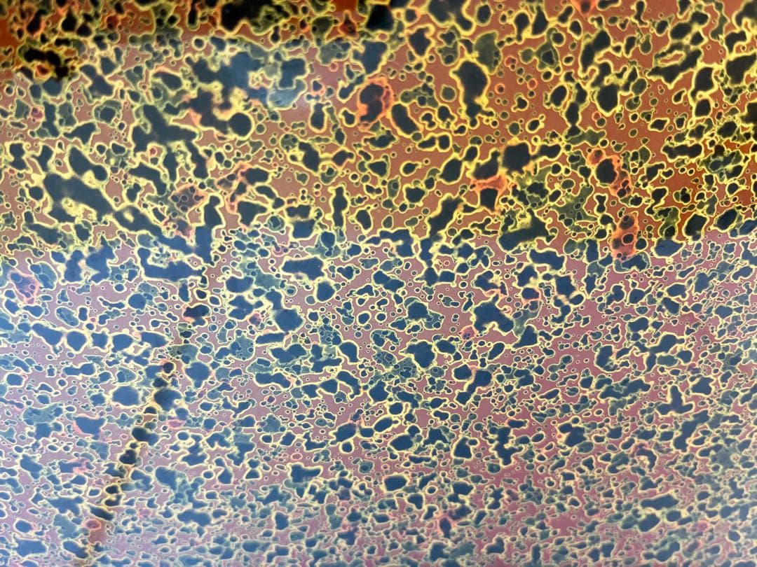 津軽塗 お膳 [約30cm ] 10枚まとめ売り 業務用・来客用・おもてなし用に