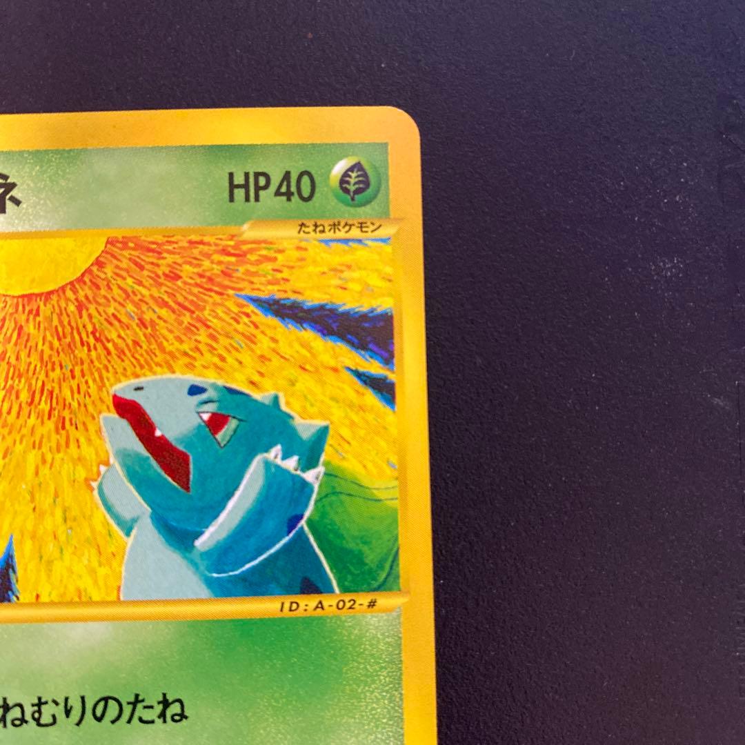 フシギダネ スターターパック 002/029