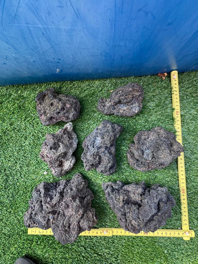 サムライラバロック　大量