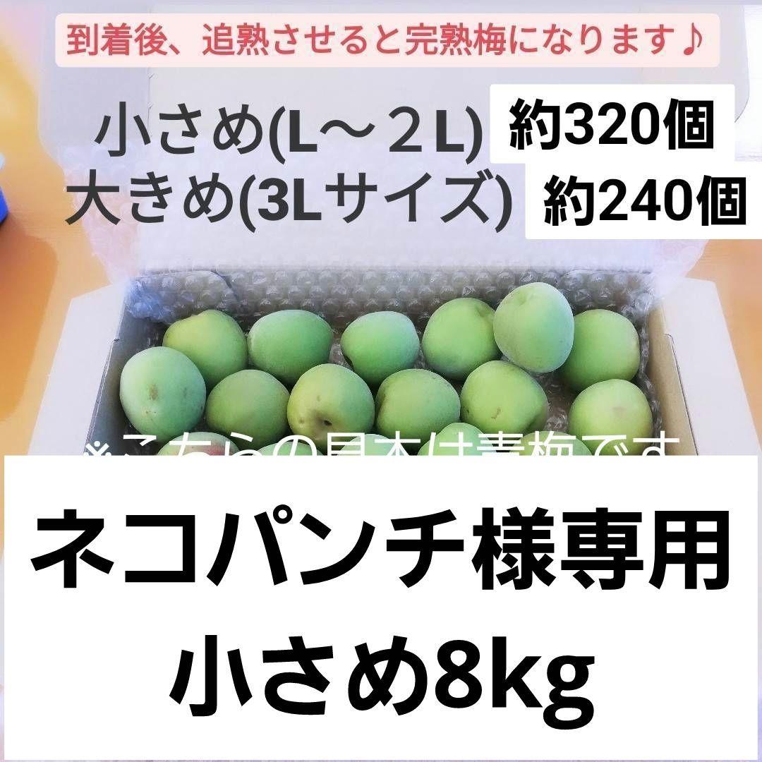 【期間限定！】和歌山県産 紀州南高梅 青梅
