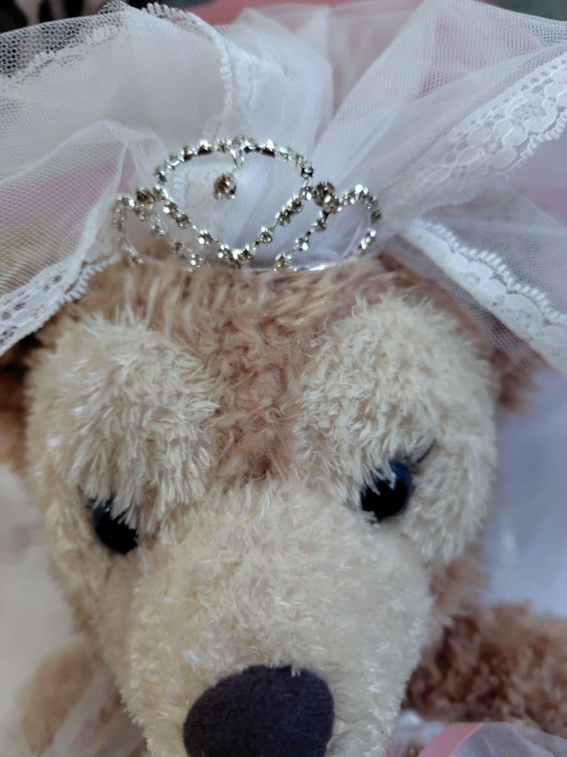 シェリーメイ　コスチューム3点セット＋ぬいぐるみ