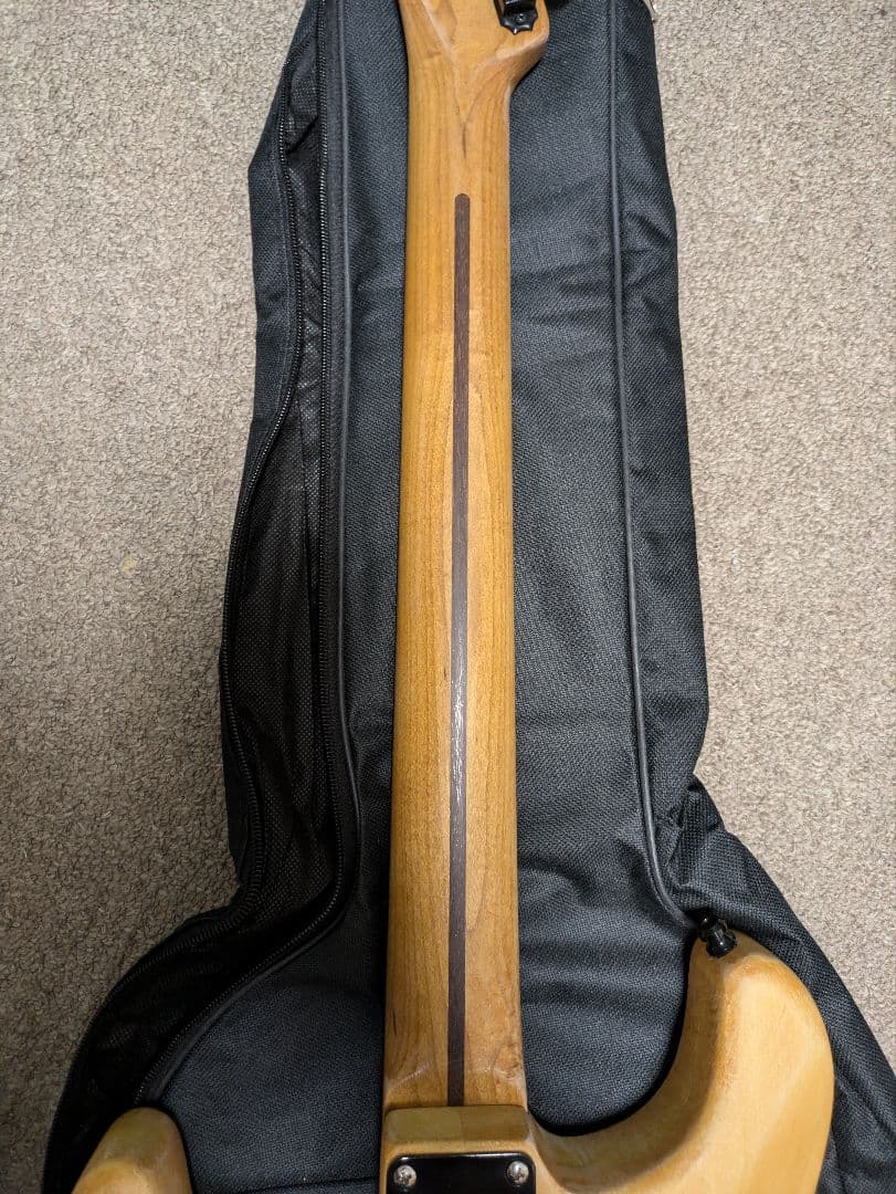 Warmothネック+MJTボディ コンポーネントギター